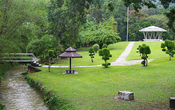 botanic gardens penang 3 - 7 Tempat Wisata Gratis di Penang yang Wajib Anda Tahu