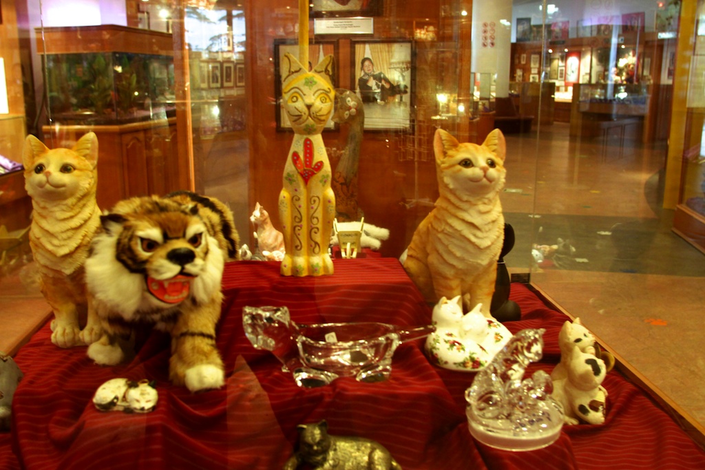kucing 14 - Piknik Asyik di 6 Destinasi Wisata Kota Kuching Malaysia