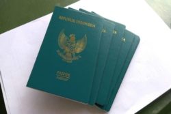 lama pembuatan paspor