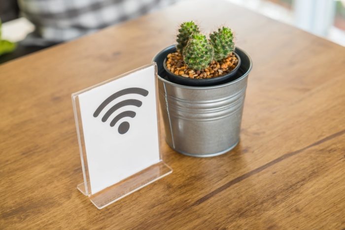 pot with cactus wifi signal min 700x467 - Simak 4 Cara Mudah Proteksi Akun Qelola kamu!