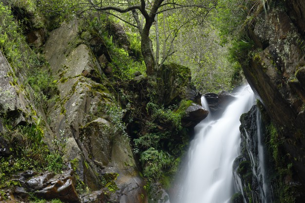 waterfalls - 5 Spot Keren di Sekitar Gunung Jerai Malaysia yang Wajib Kamu Kunjungi