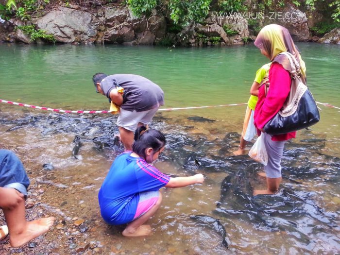 Terapi Ikan Sungai Moroli jun zie.com  700x525 - Sabah Malaysia, Hal-Hal Menarik Ini Cuma Ada Disana!