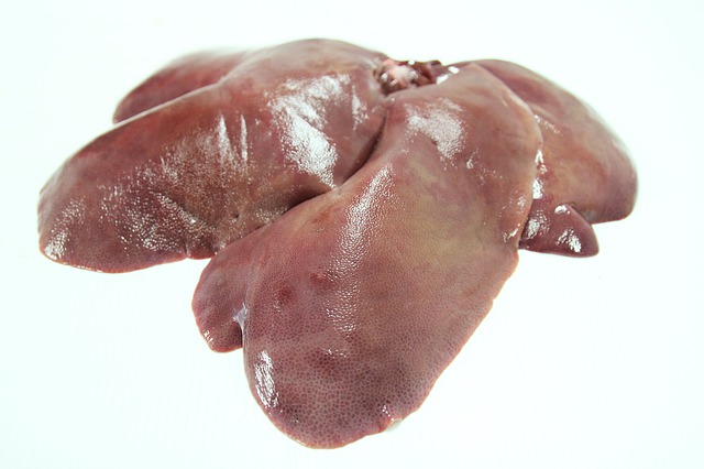 liver 3306256 640 - Kanker Hati, Penyakit yang Perlu Diwaspadai