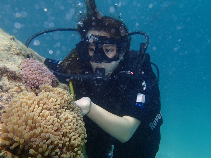 snorkeling Sabah 700x525 - Catat! Ini yang Harus Dilakukan Saat Berlibur ke Sabah