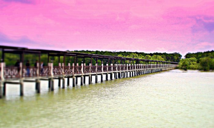 tanjung piai relakssmindadotblogspotdotcom 700x420 - Daftar Pantai di Selangor Malaysia Yang Wajib Kamu Kunjungi!