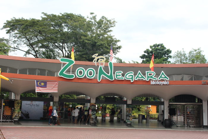 zoo negara 700x467 - Tempat Menarik di Selangor Untuk Kanak-Kanak, Ini Daftarnya!